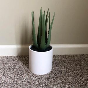 Faux Plant